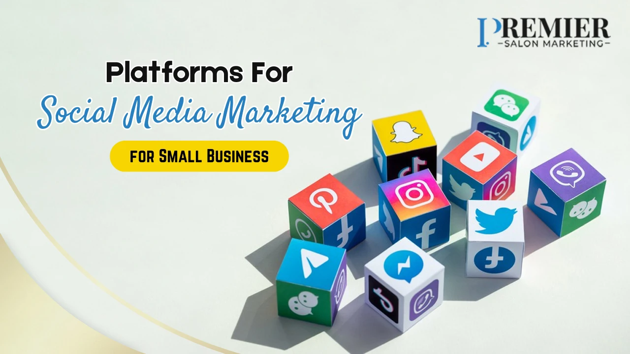 Platforms For Social Media Marketing for Small Business (1)